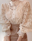 Elegant Lace Fluffy Lantern Sleeve Top